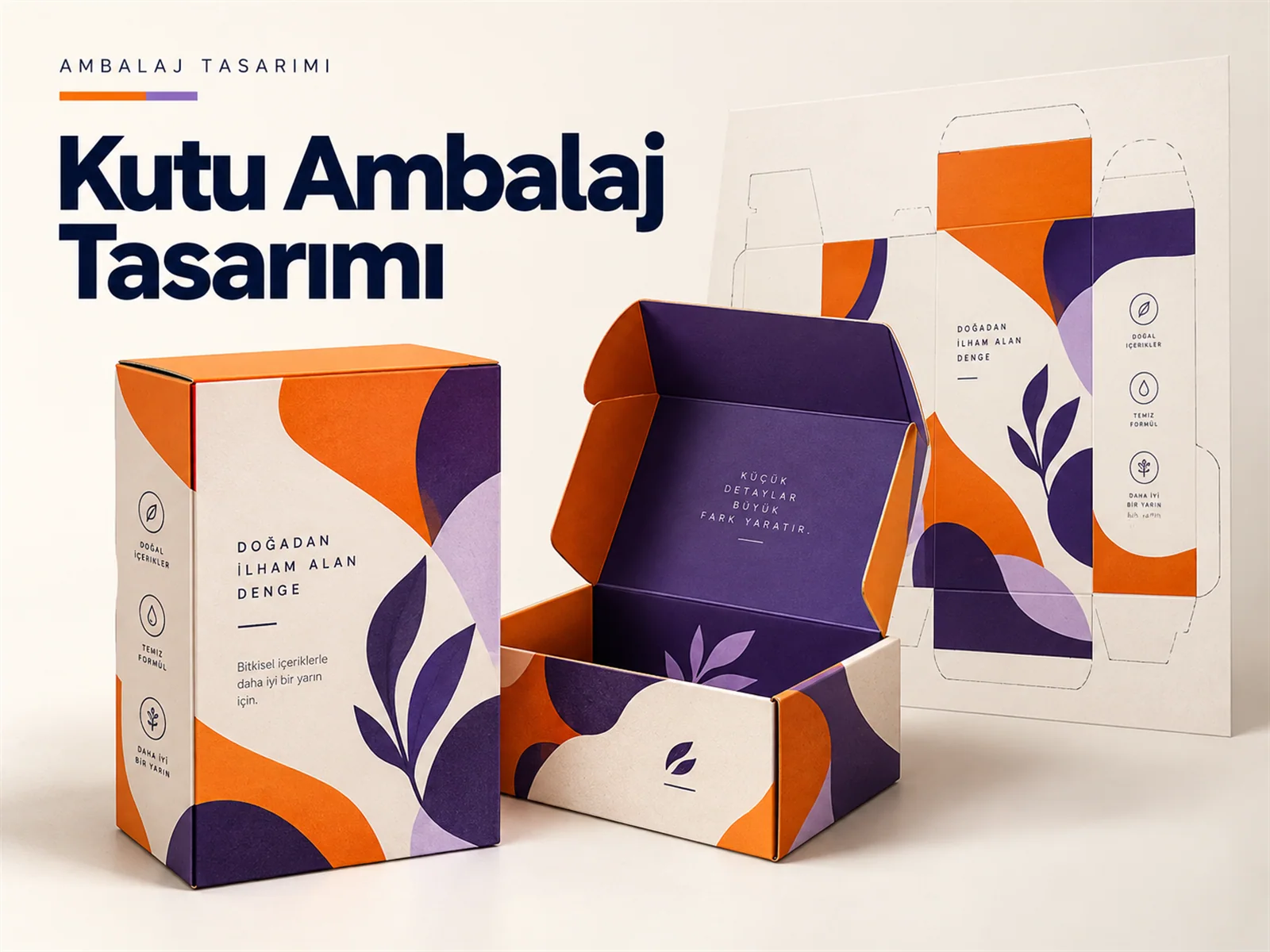 Kutu Ambalaj Tasarımı